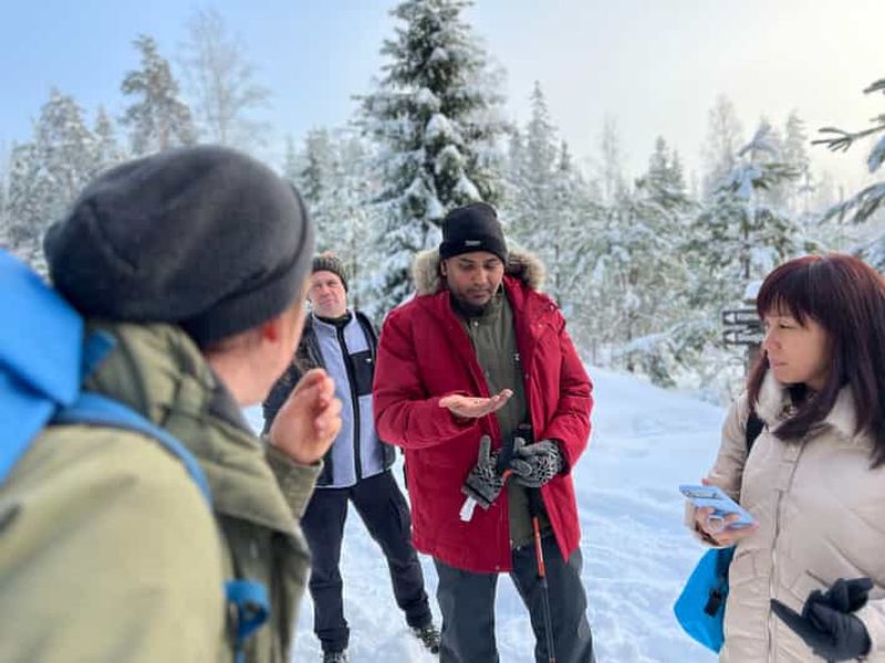 Helsinki : Randonnée dans le parc national de Liesjärvi au pays des merveilles de l'hiver