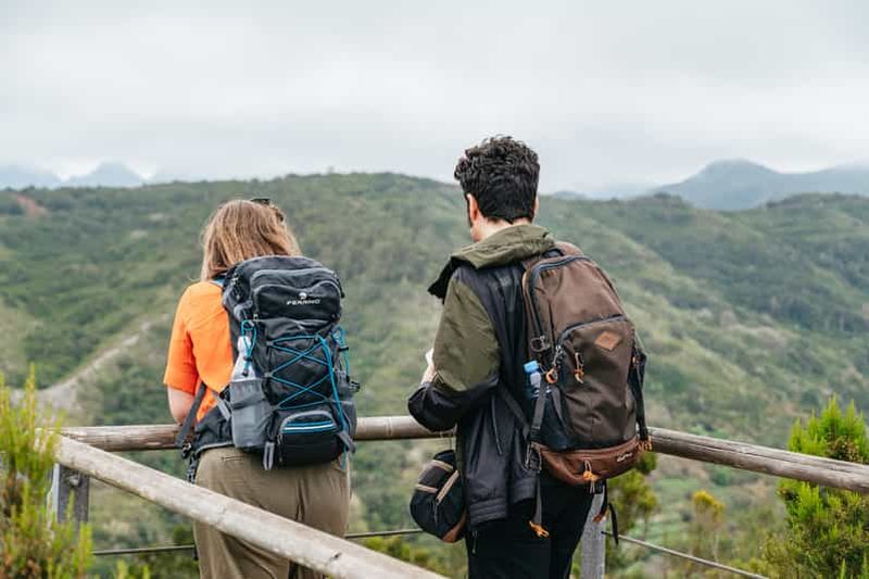 Depuis le sud de Ténérife : Excursion d'une journée sur l'île de La Gomera avec déjeuner