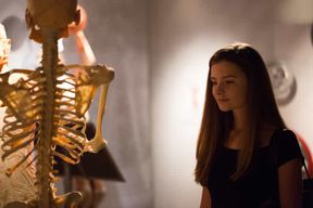 Las Vegas : REAL BODIES at Horseshoe Las Vegas billet d'entrée