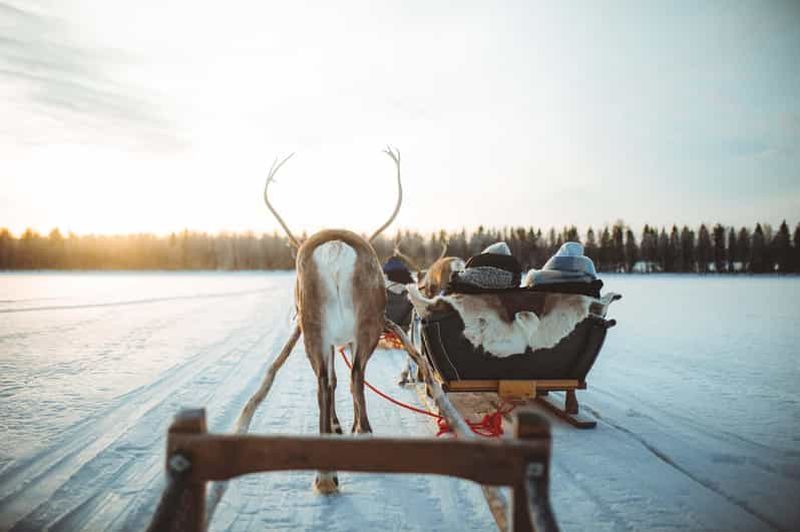 Rovaniemi : Voyage à dos de renne à Apukka