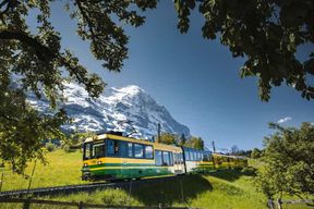 Depuis Zurich : Excursion d'une journée au Mont Eiger et à la Petite Scheidegg