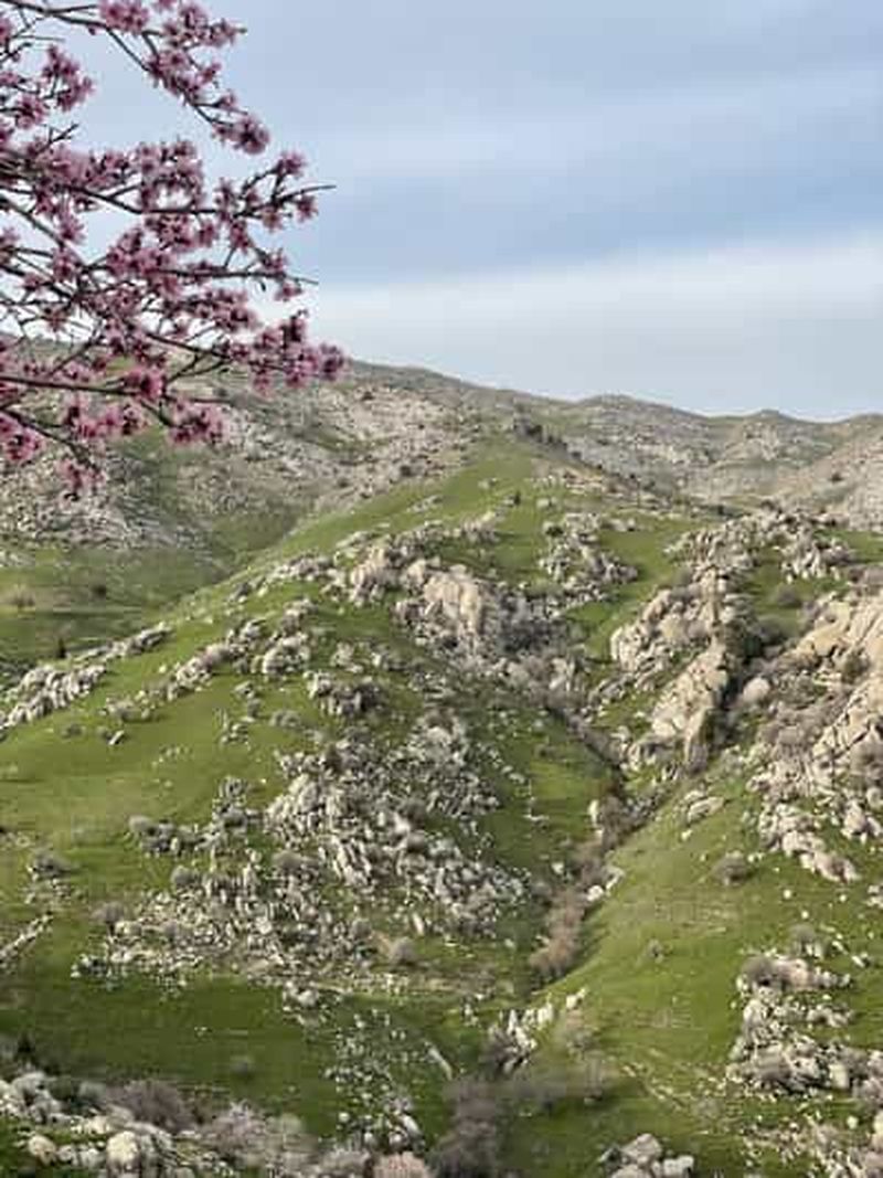 Depuis Samarkand : Visite privée de Shahrisabz