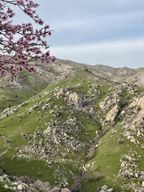 Depuis Samarkand : Visite privée de Shahrisabz