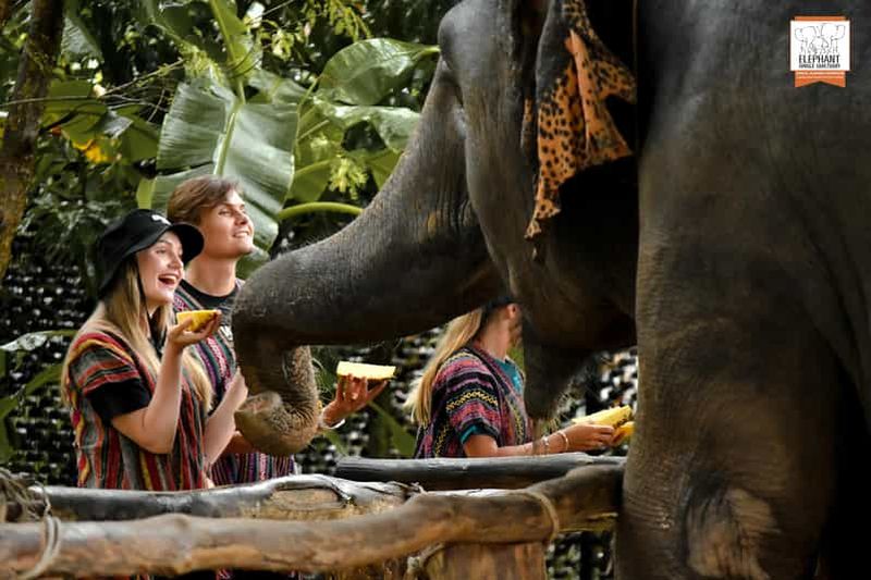 Phuket : Le Sanctuaire de la jungle des éléphants : une expérience de nourrissage éthique