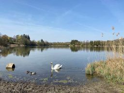 Lyon : randonnée autonome hors des sentiers battus (train et pique-nique)