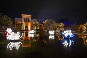 Stuttgart : le Jardin de Noël du Zoo Wilhelma