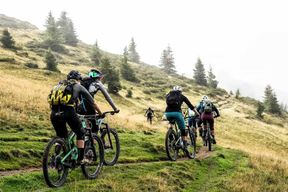 Depuis Nice : excursion en montagne à vélo électrique dans le parc national du Mercantour