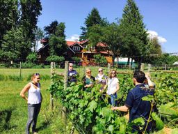 Circuit viticole de 6 heures de Victoria à Cowichan