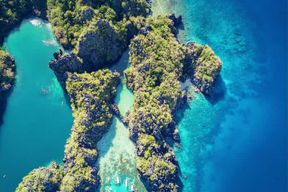 El Nido : Circuit D avec la lagune de Cadlao, la plage de Paradise Beach et plus encore