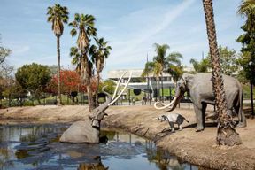 Los Angeles : billet pour le musée La Brea Tar Pits