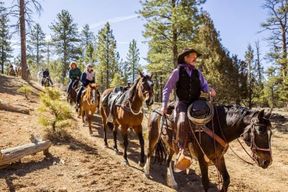 Bryce Canyon City : Randonnée à cheval dans le Red Canyon