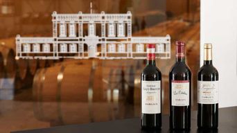 Visite guidée des vignobles de Soussans avec dégustation de vin près de Margaux