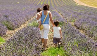Les Collines de Besplas : Visite des champs de lavande et distillation