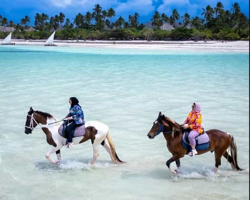 Pemba : Safari nocturne dans la forêt de Ngezi avec un guide ranger