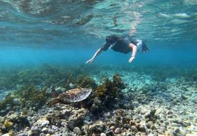 Excursion d'une journée en bateau avec plongée avec tuba à Coco Félicité et La Digue