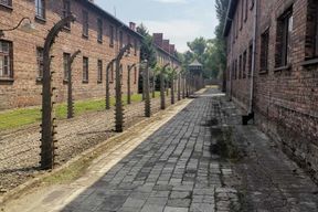 Depuis Cracovie : Excursion guidée dans le complexe du camp d'Auschwitz-Birkenau