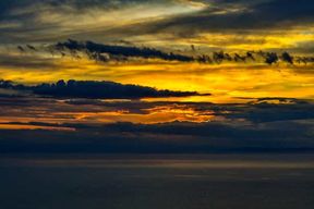 Riomaggiore : concert de piano Bach et dégustation de vins dans une cave à vin