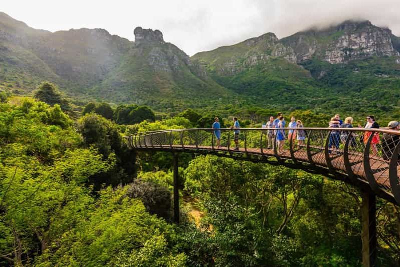 Le Cap : billet d'entrée au jardin botanique de Kirstenbosch
