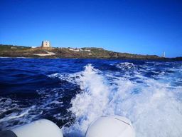 Excursion en zodiac : tour de l'île d'Ustica avec visite des grottes et baignade.