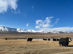 Lac Song-Kul : Séjour en Yourte Kirghize et Promenade à Cheval (2 JOURS)