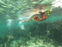 Puerto Morelos : excursion guidée de snorkeling avec équipement et frais