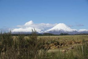 Parc national de Tongariro - Exploration du Nord et raquettes à neige