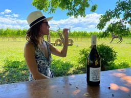 Aquileia : Visite et dégustation de vignobles