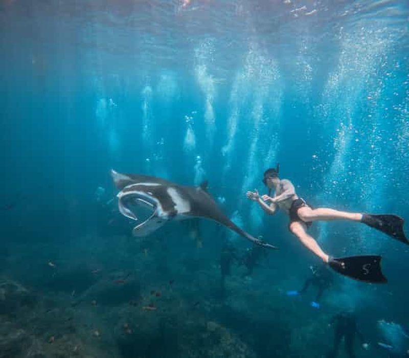 Île de Nusa Penida : plongée avec tuba à Manta Point et visite de la côte ouest