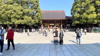 Tokyo : Visite de Meiji Jingu, Harajuku, Shibuya et Shijuku