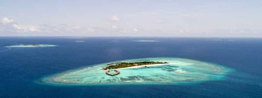 Dar es Salaam : Excursion d'une journée sur l'île de Mafia avec vols