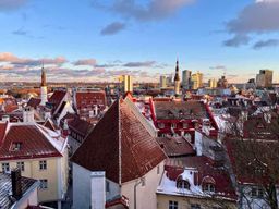 Visite à pied guidée de la vieille ville de Tallinn en hiver