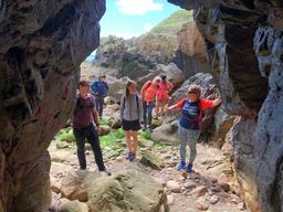 Dublin : Randonnée safari à Howth