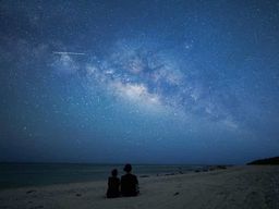 Ishigaki : Visite à pied de la jungle et visite nocturne des étoiles