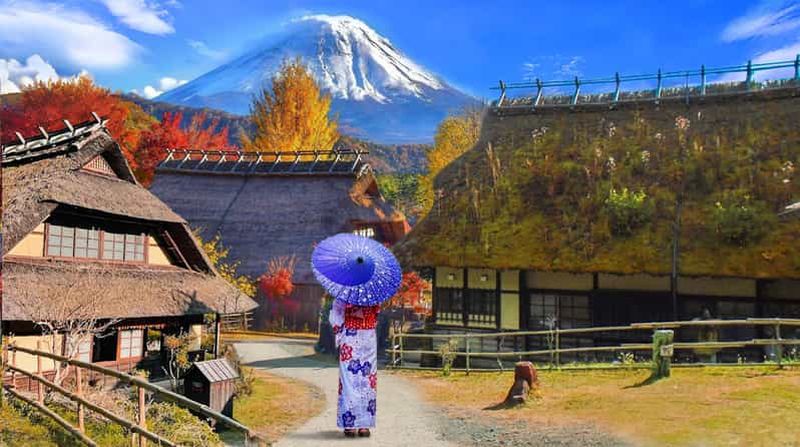 Tokyo : visite d'une jounée des meilleurs sites panoramiques du mont Fuji