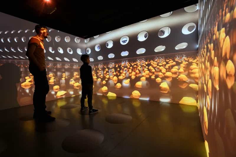 Heule : Visite guidée « Chocolat Trail » chez le chocolatier Vandenbulcke