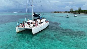 Nassau : plongée avec tuba, plage des cochons, nage avec les tortues et déjeuner