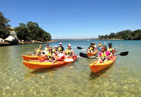 Manly : excursion en kayak sur 3 plages avec déjeuner