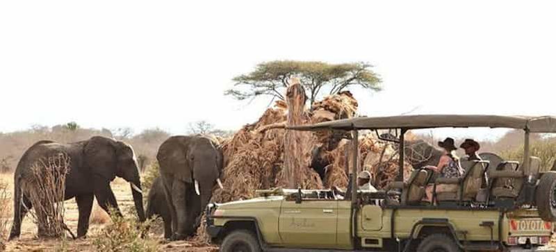 Au cœur de Ruaha 4 jours 3 nuits