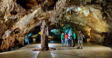 Monténégro : Visite guidée de la grotte de Lipa avec transfert