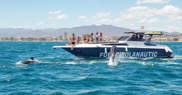 Fuengirola : observation des dauphins en yacht avec collations et boissons