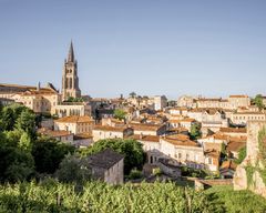 Au départ de Bordeaux : visite d'une demi-journée à Saint-Émilion avec dégustation de vins