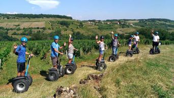 Beaujolais : Tour en Segway avec dégustation de vins