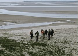 Randonnée pédestre au départ du Crotoy en baie de Somme