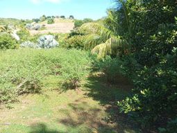 Visite d’une ferme biologique avec randonnée rivière et plage à Sainte-Anne