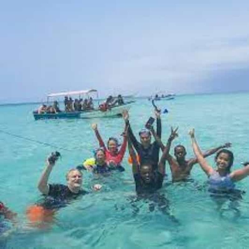 Excursion à Wasini : dauphins et snorkeling à Kisite Mpunguti