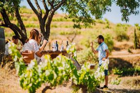 Falset : visite guidée des vins du Priorat par un local