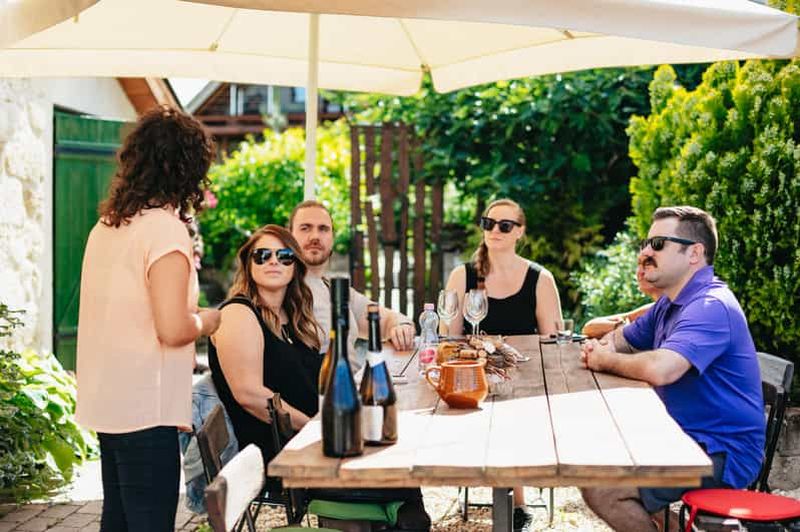 Depuis Budapest : excursion d'une demi-journée dans les vignobles avec repas