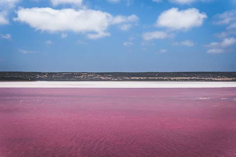 Depuis Valence : Laguna Rosa et Alicante, couleurs, mer et soleil
