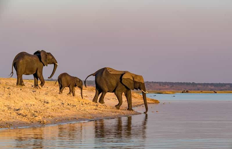 2 Jours 1 Nuit Tarangire & Cratère du Ngorongoro