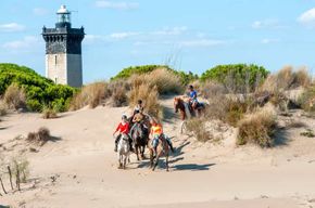 Grau du roi : Promenade à cheval en Camargue